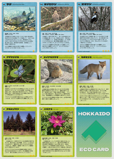 20260116_4.jpgのサムネイル画像