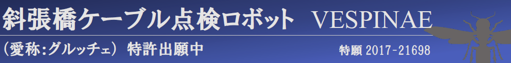 斜張橋ケーブル点検ロボットVESPINAE